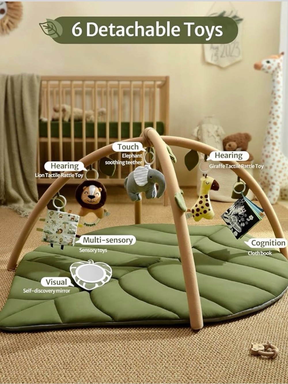 Baby Play Gym & Activity Mat